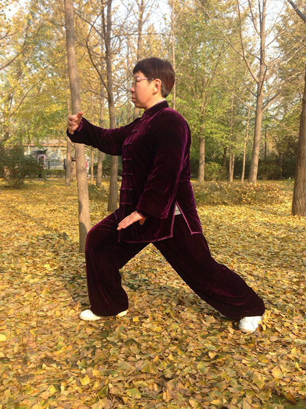 拳照