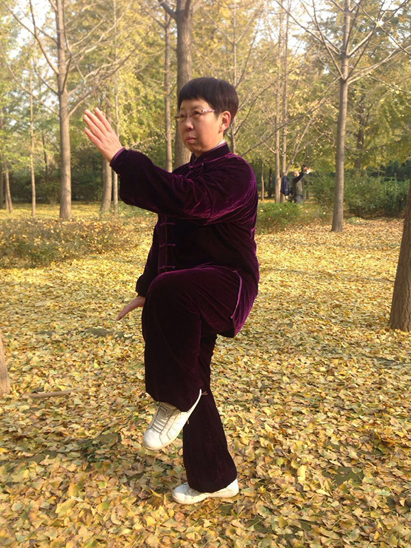 拳照