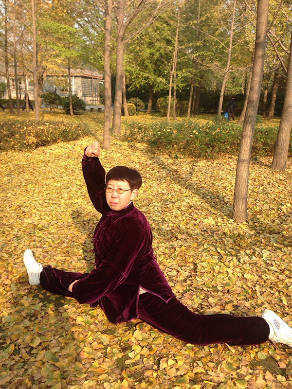 拳照