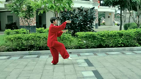 拳照