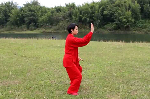 拳照