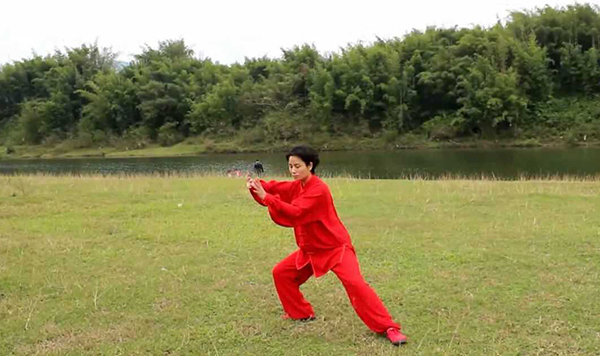 拳照