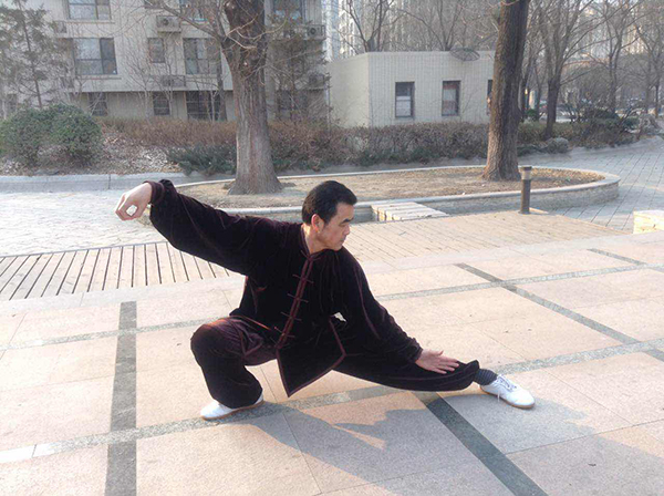 拳照