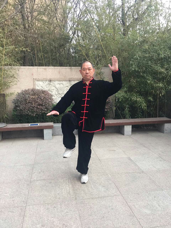 拳照