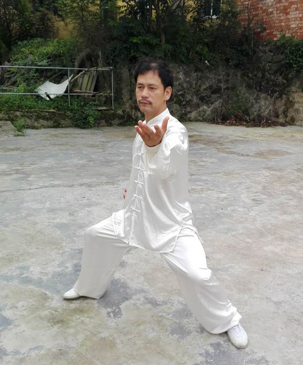 拳照