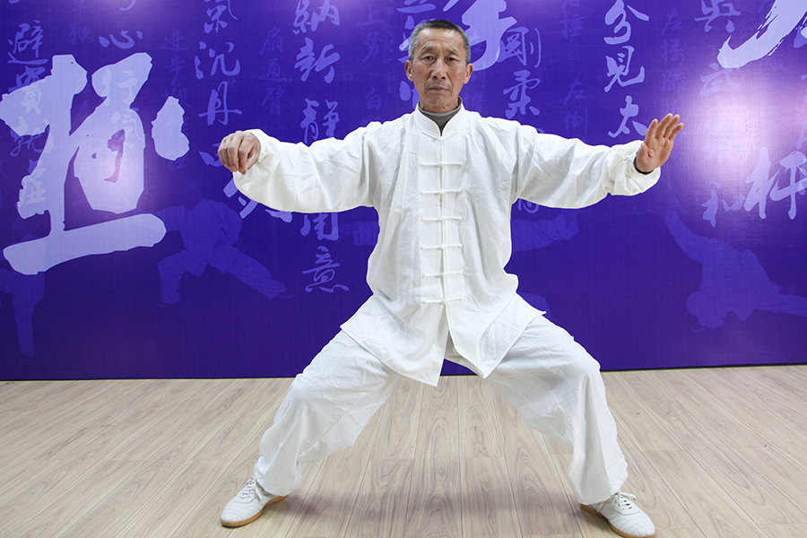 拳照