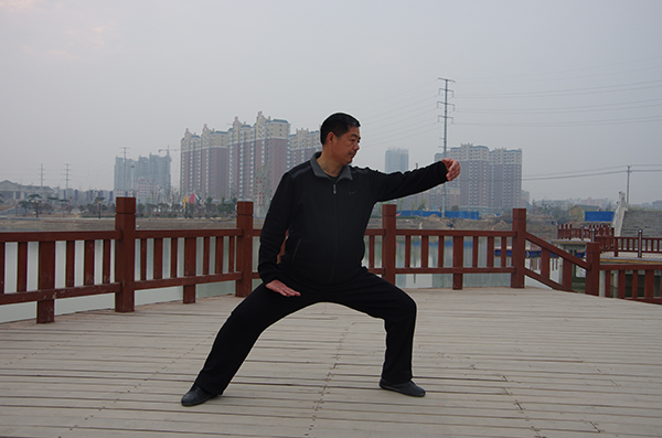 拳照