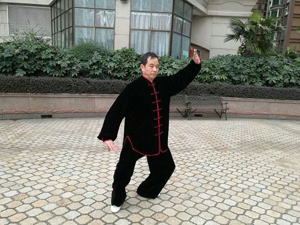 拳照