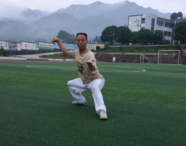拳照