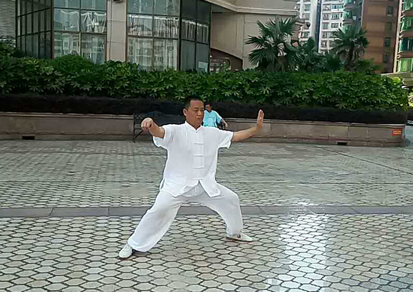 拳照