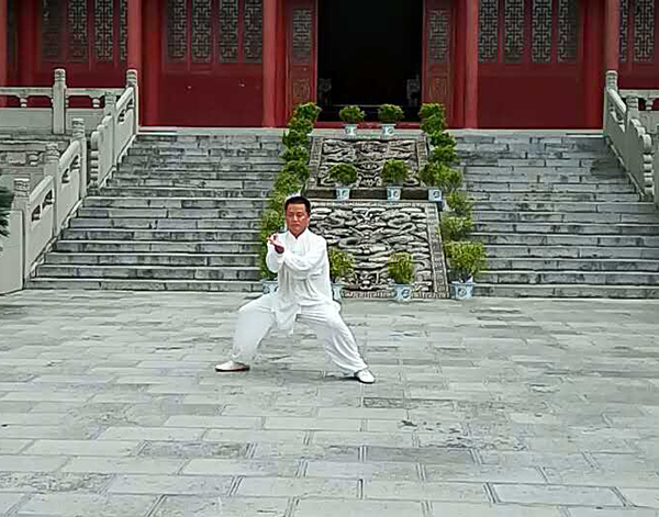 拳照