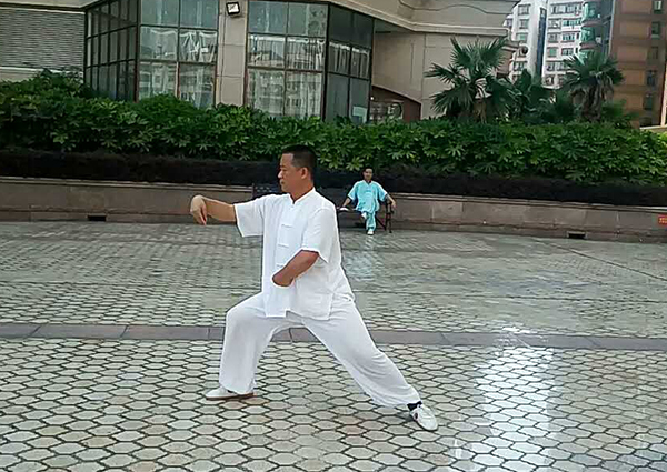 拳照