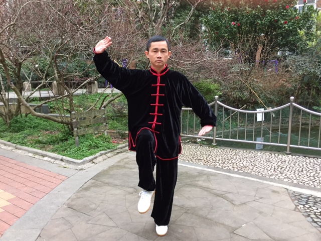 拳照