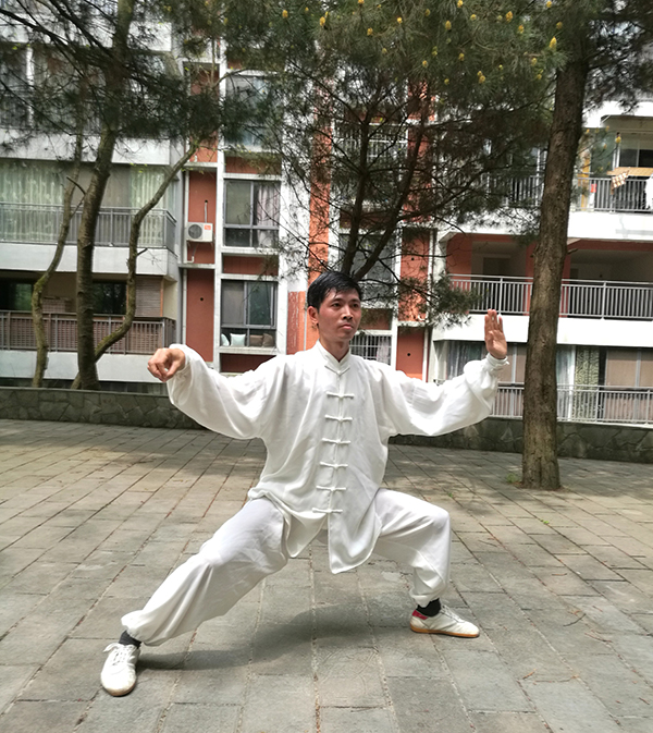 拳照