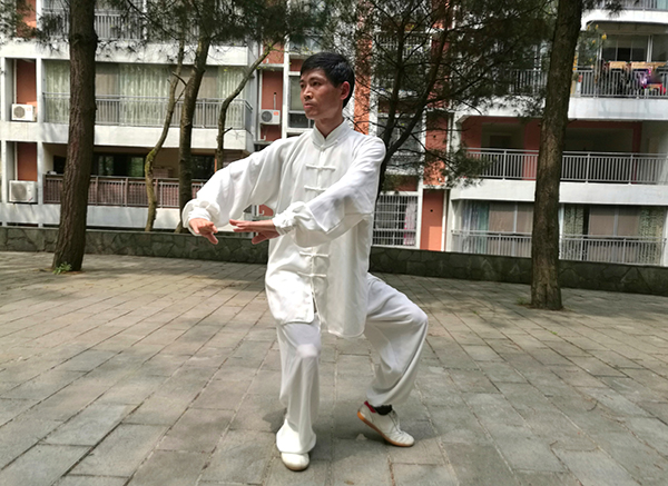 拳照