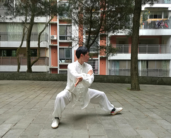 拳照