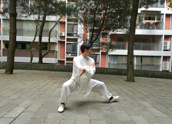 拳照