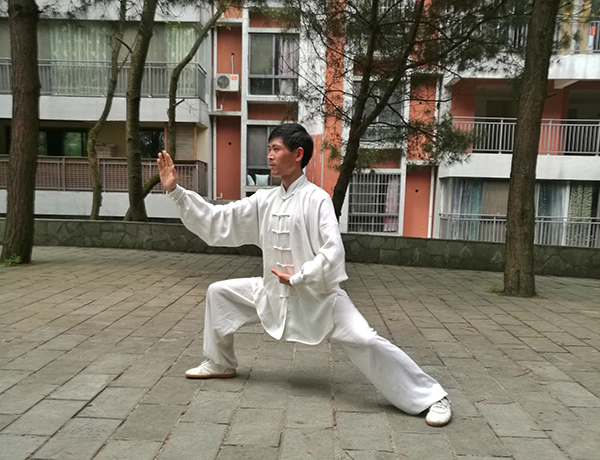 拳照