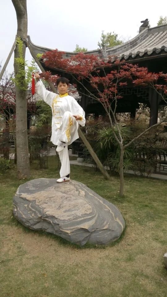 拳照