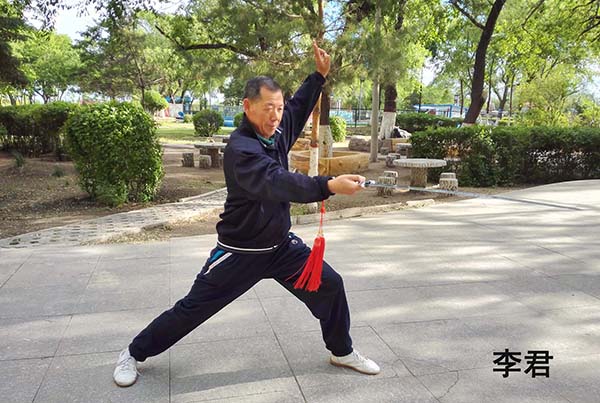 拳照