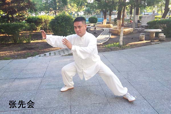 拳照