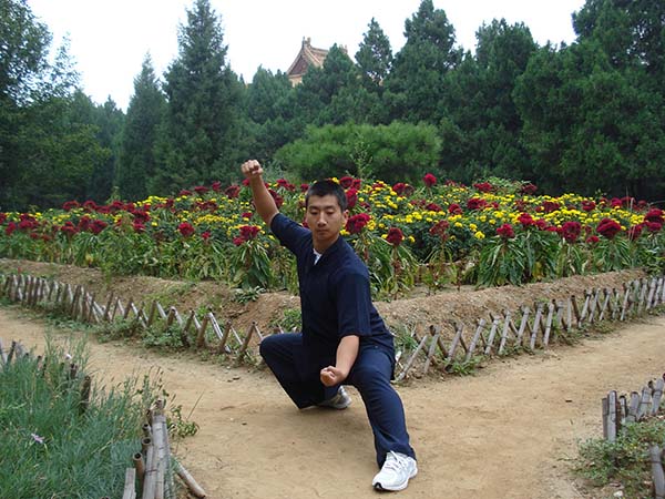 拳照