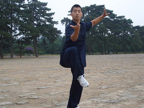 拳照