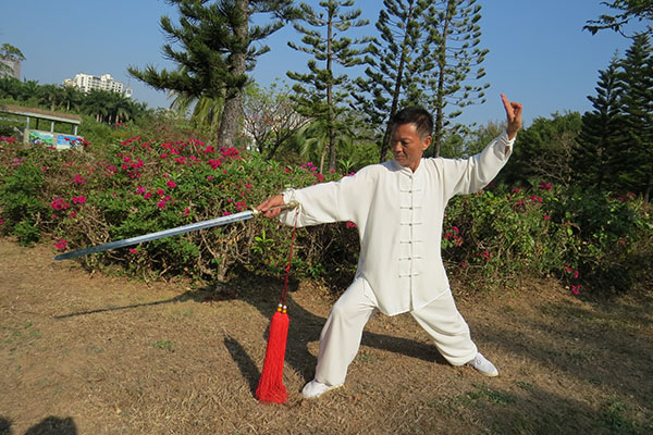 拳照