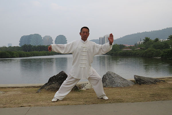 拳照