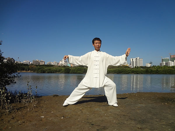 拳照