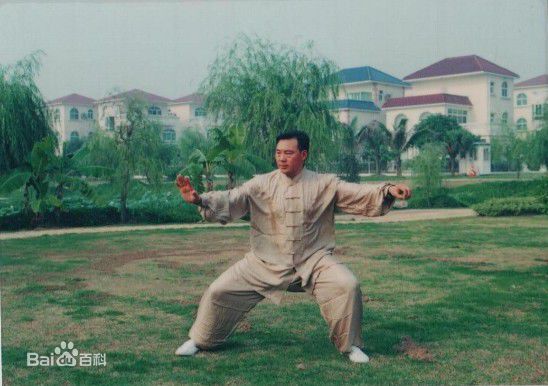 拳照