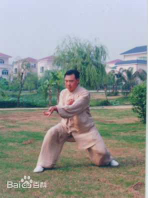 拳照