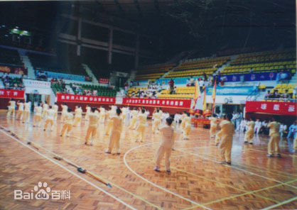 拳照