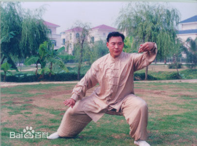 拳照