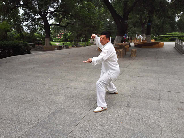 拳照