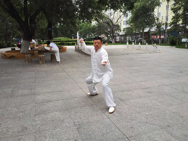 拳照
