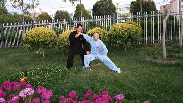 师父教授我太极