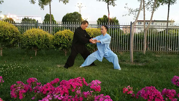 师父教授我太极