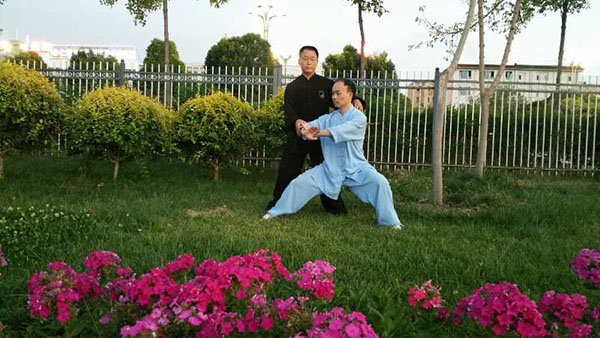 师父教授我太极