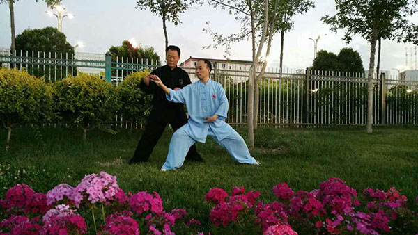 师父教授我太极