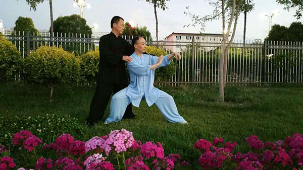 师父教授我太极