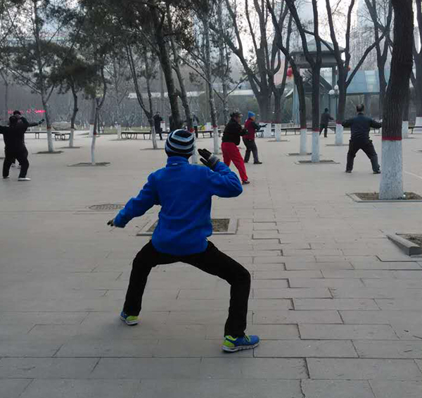 拳照