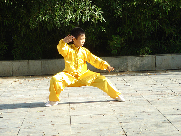 拳照