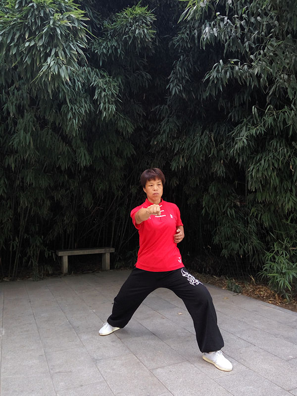 拳照
