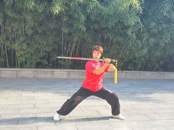 拳照
