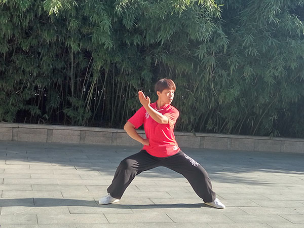 拳照