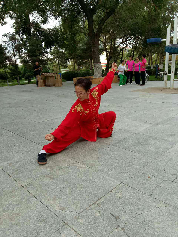 拳照