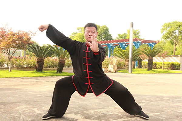 拳照
