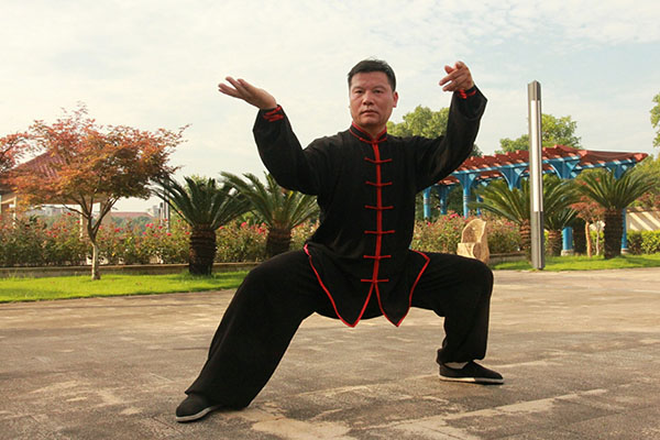 拳照