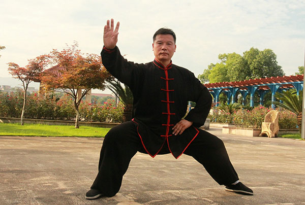 拳照